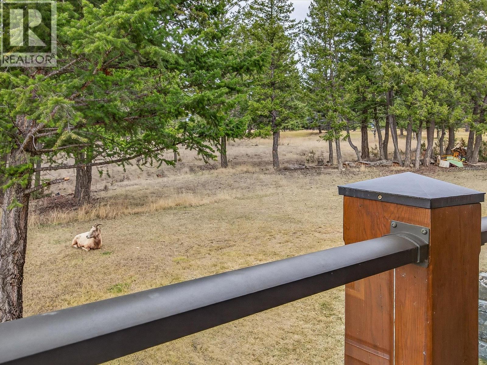 7540 Springs Terrace, Radium Hot Springs, British Columbia  V0A 1M0 - Photo 53 - 10382156