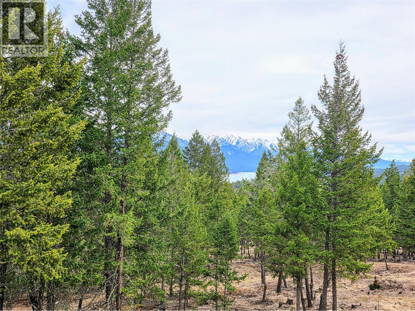 2600 Riverrock Way Unit# 5, Invermere, British Columbia  V0A 1K6 - Photo 2 - 10382259