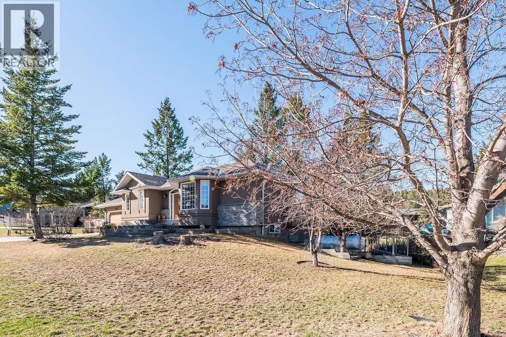 1002 Westridge Drive, Invermere, British Columbia  V0A 1K4 - Photo 8 - 10382927