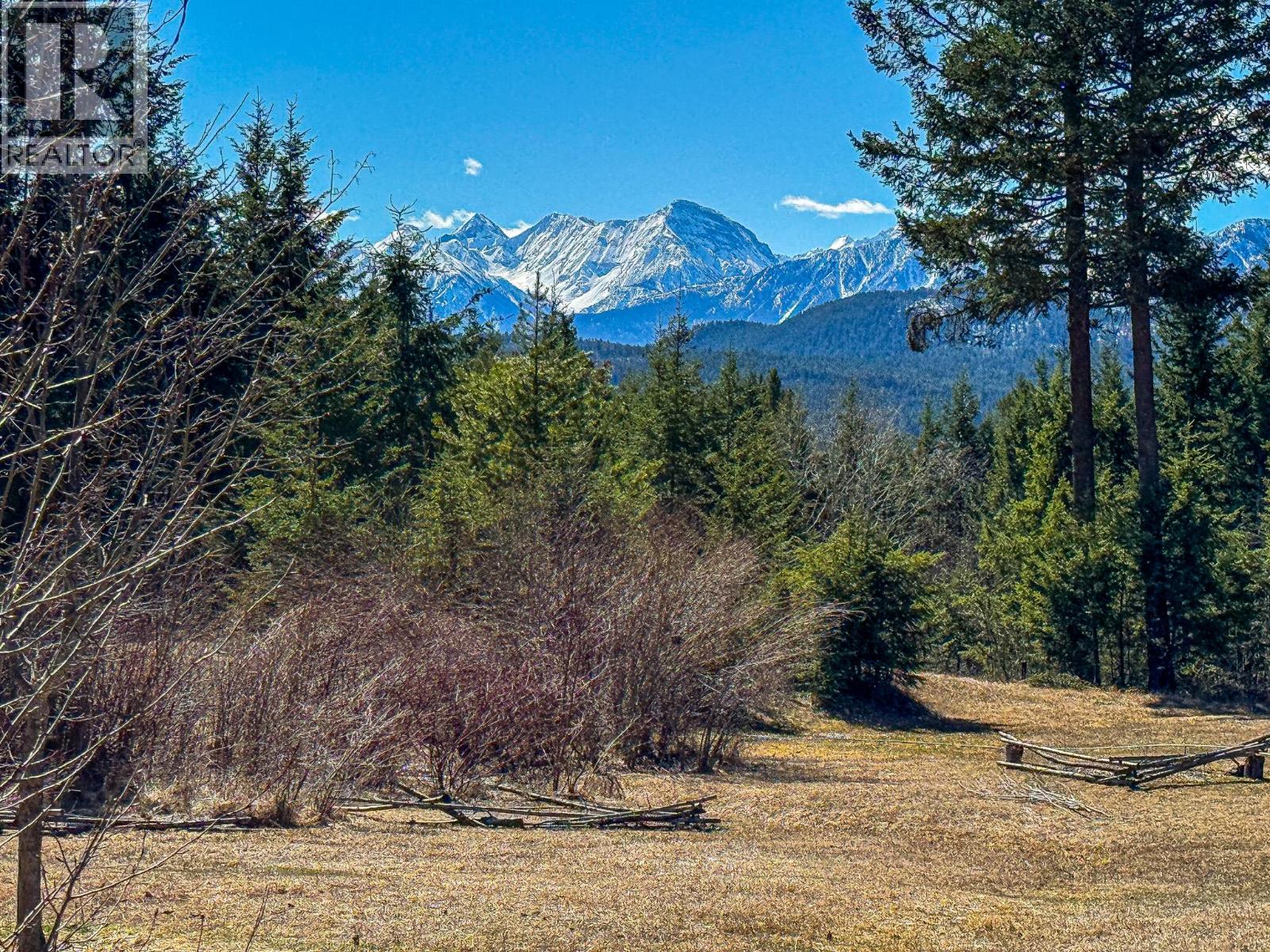 4360 Adair Road, Parson, British Columbia  V0A 1L0 - Photo 18 - 10383152