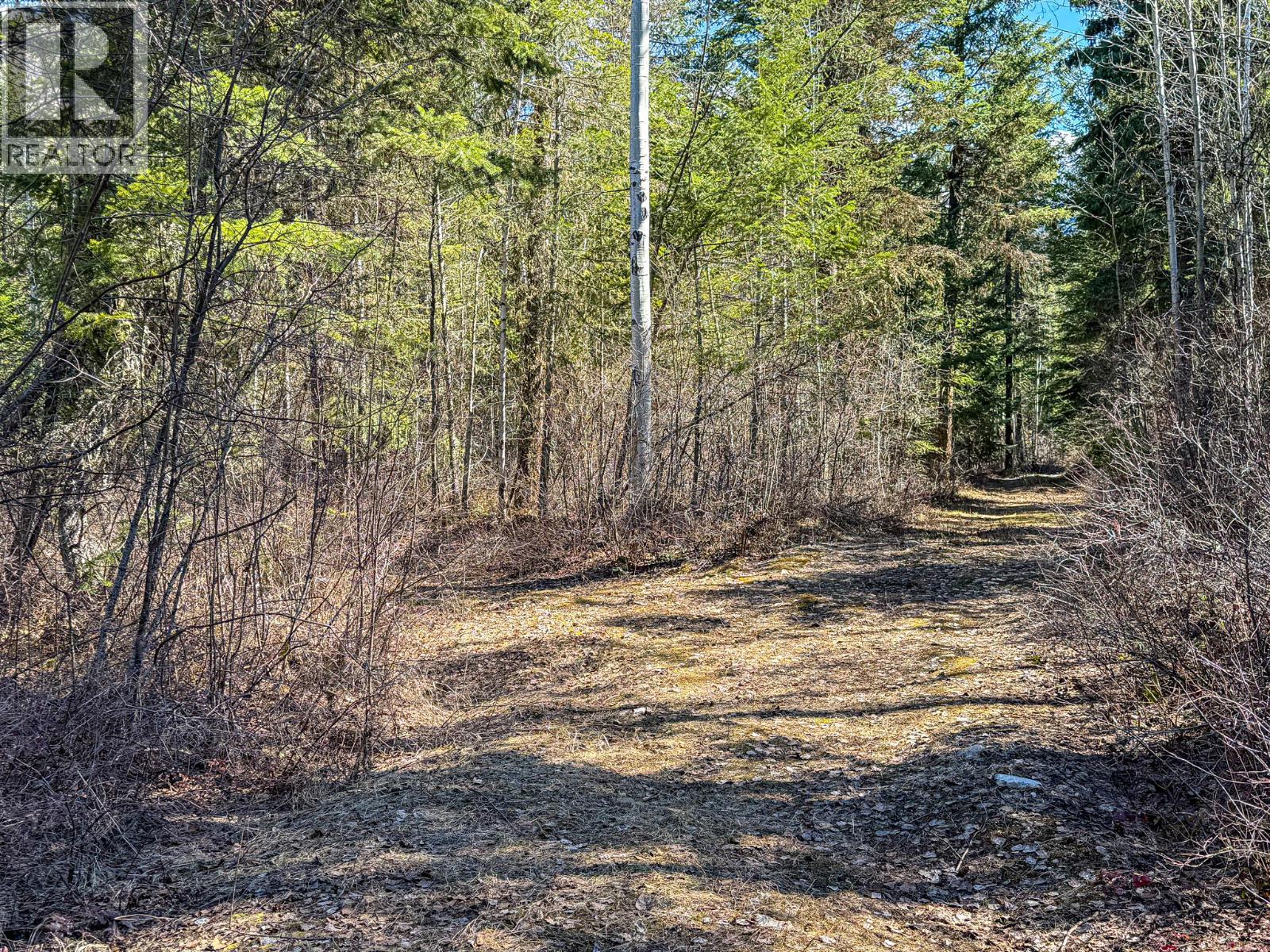 4360 Adair Road, Parson, British Columbia  V0A 1L0 - Photo 24 - 10383152