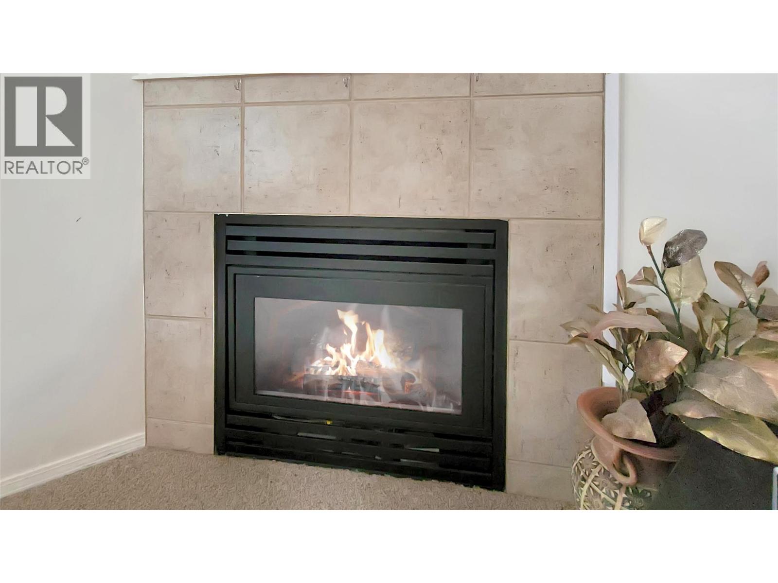 4835 Radium Boulevard Unit# 119, Radium Hot Springs, British Columbia  V0A 1M0 - Photo 10 - 10381978