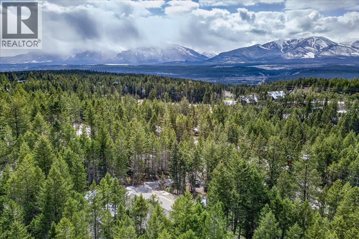 8076 Mcintosh Loop Road, Radium Hot Springs, British Columbia  V0A 1M0 - Photo 62 - 10384010