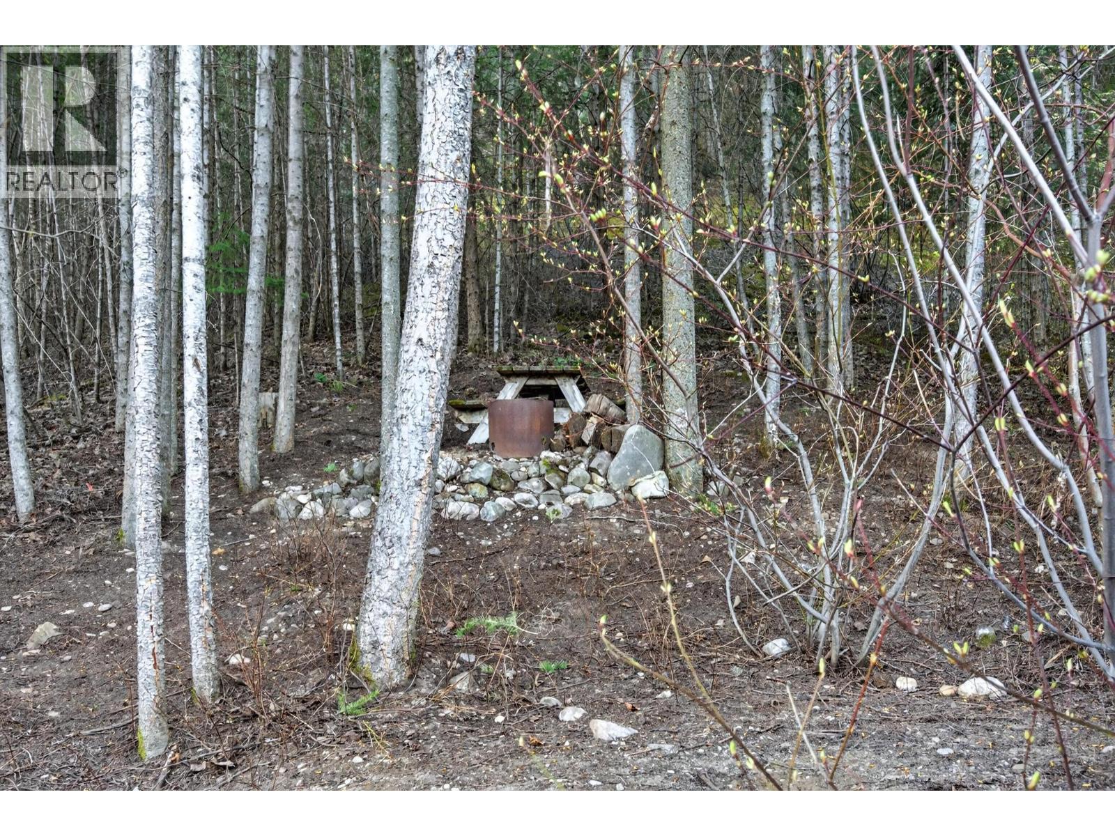 1400 12th Street Unit# 10, Golden, British Columbia  V0A 1H1 - Photo 46 - 10385125