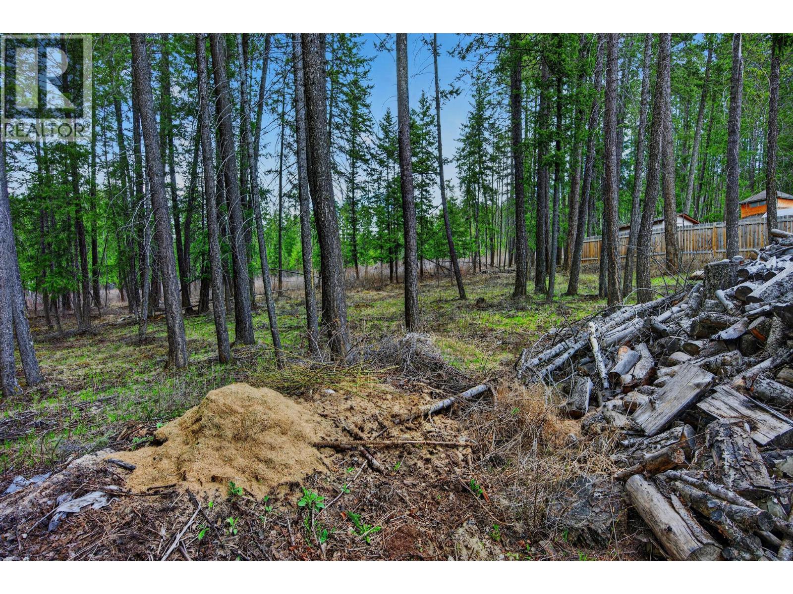 1605 Gareb Road, Golden, British Columbia  V0A 1H3 - Photo 34 - 10385596