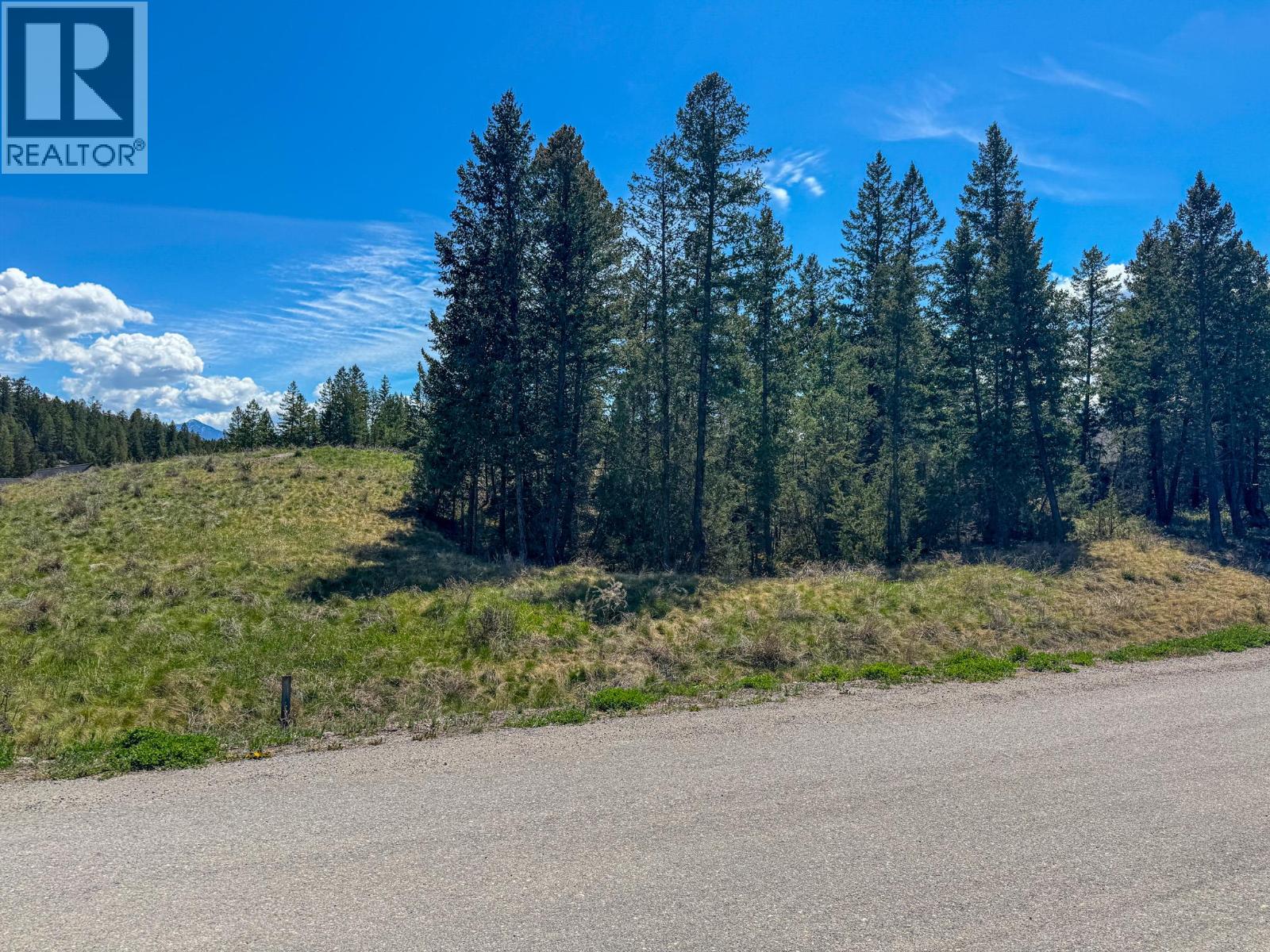 Berland Bend Lot# Lot 36, Windermere, British Columbia  V0A 1K4 - Photo 10 - 10386806