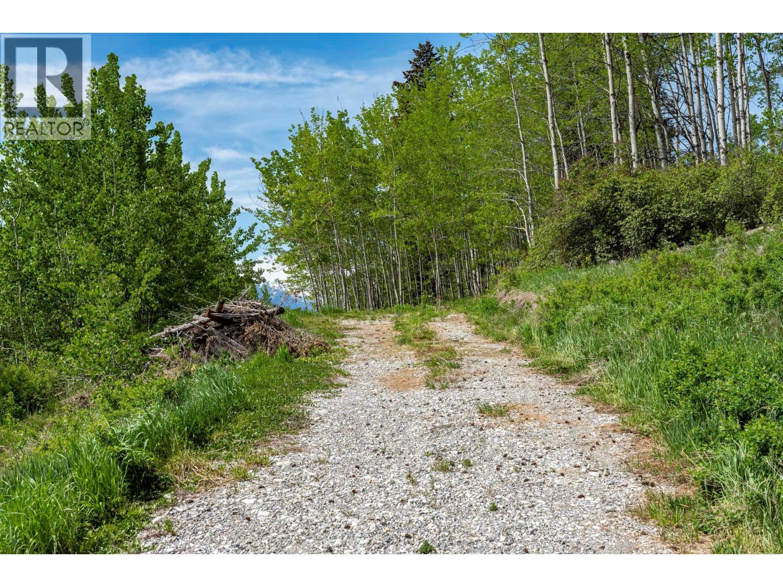 3657 95 Highway, Parson, British Columbia  V0A 1H4 - Photo 50 - 10387446