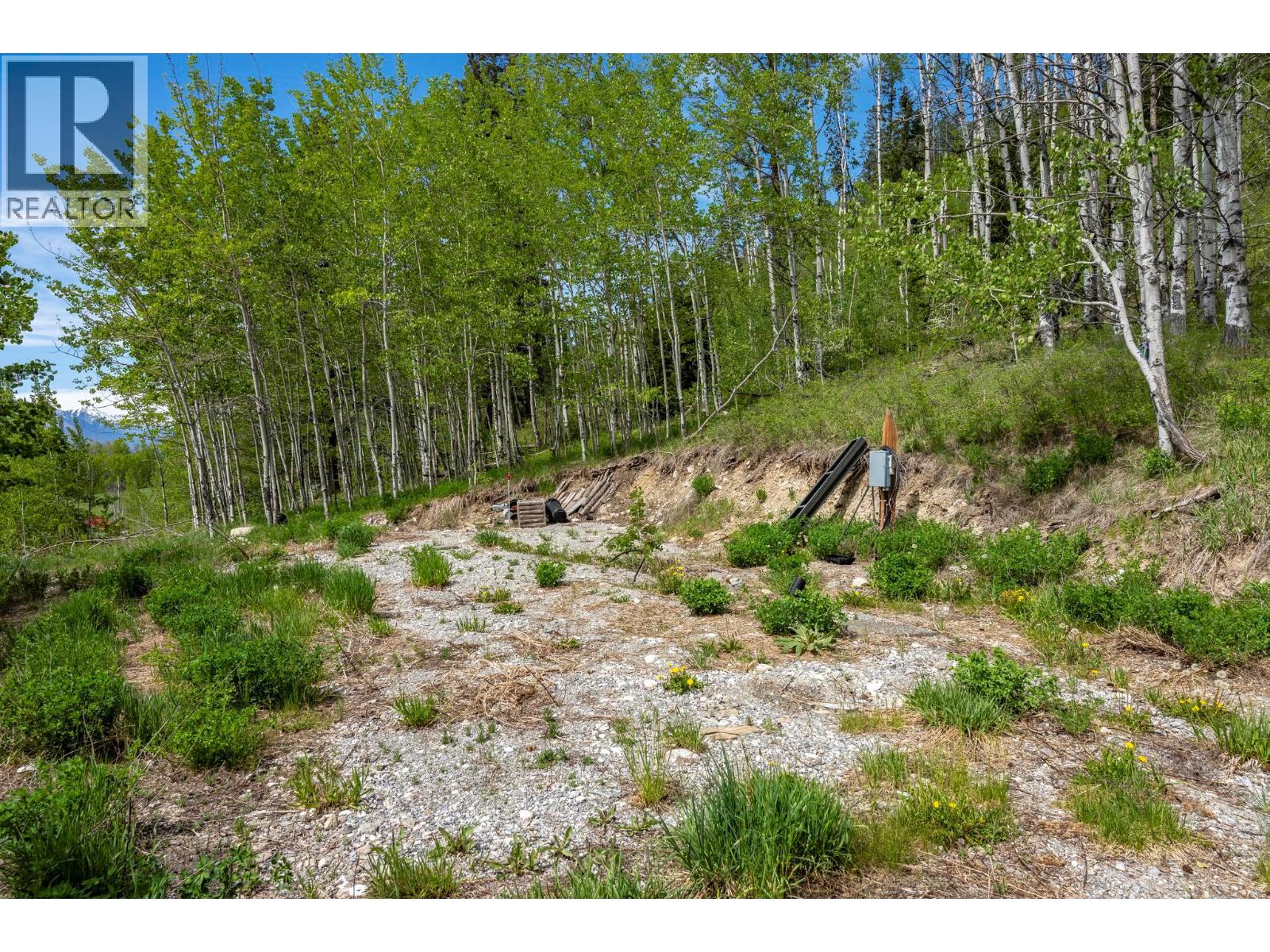 3657 95 Highway, Parson, British Columbia  V0A 1H4 - Photo 51 - 10387446