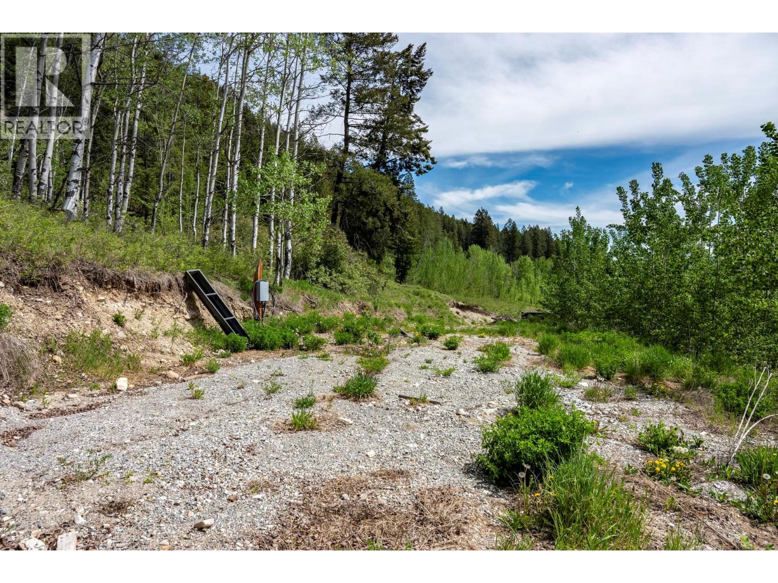 3657 95 Highway, Parson, British Columbia  V0A 1H4 - Photo 52 - 10387446