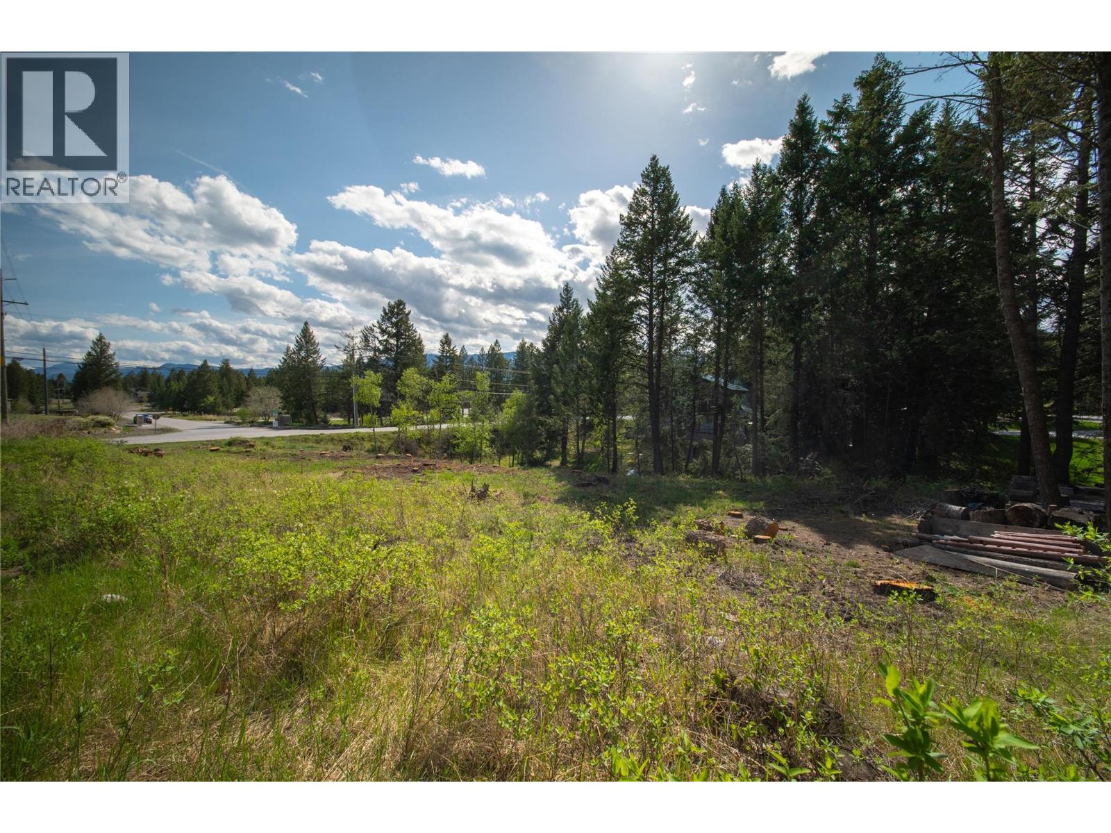 Lot 35 Timber Ridge Road, Windermere, British Columbia  V0A 1K3 - Photo 17 - 10387204