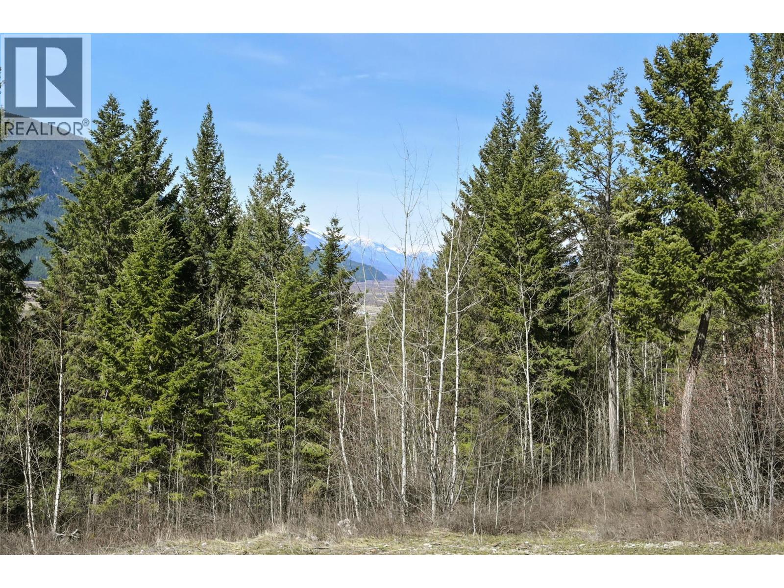 110 Highway 95, Spillimacheen, British Columbia  V0A 1P0 - Photo 34 - 10387907