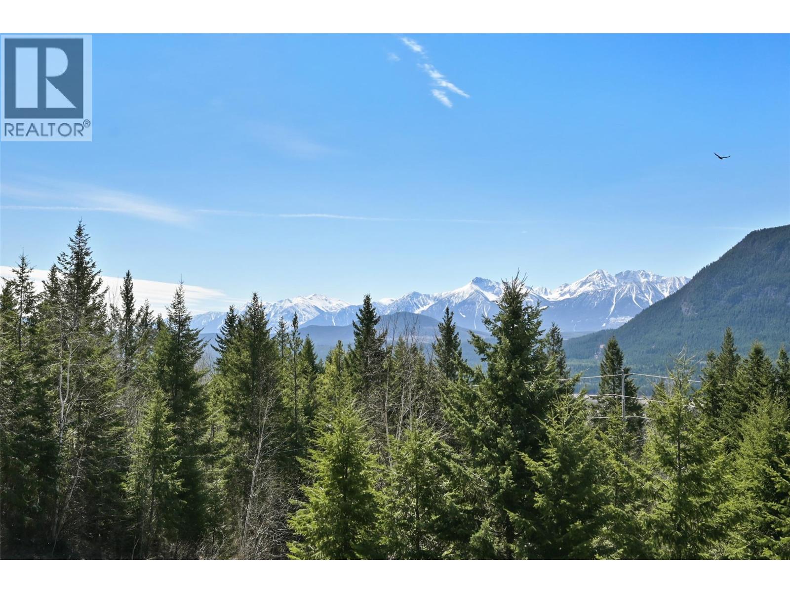 110 Highway 95, Spillimacheen, British Columbia  V0A 1P0 - Photo 35 - 10387907