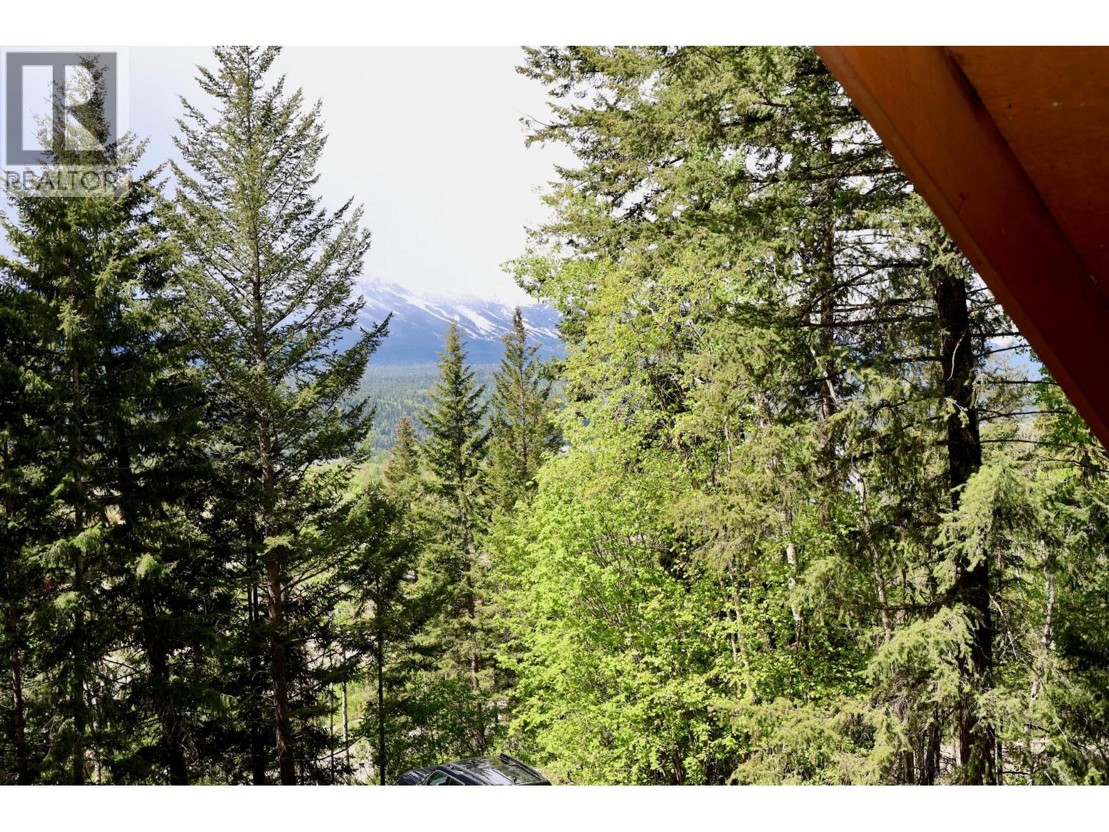 486 Champagne Road Unit# 1, 2, 3,, Golden, British Columbia  V0A 1H2 - Photo 32 - 10388082