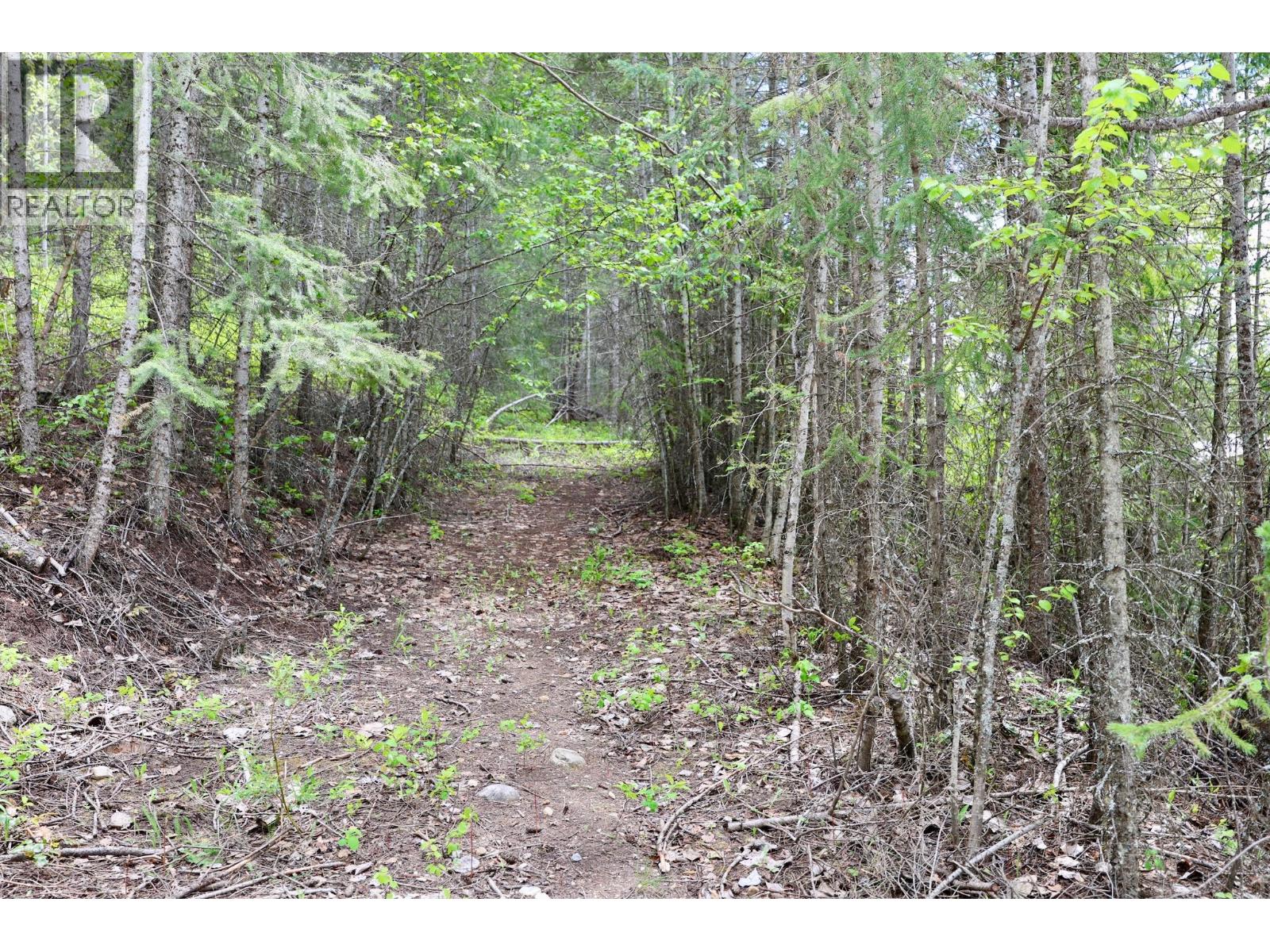 486 Champagne Road Unit# 1, 2, 3,, Golden, British Columbia  V0A 1H2 - Photo 42 - 10388082