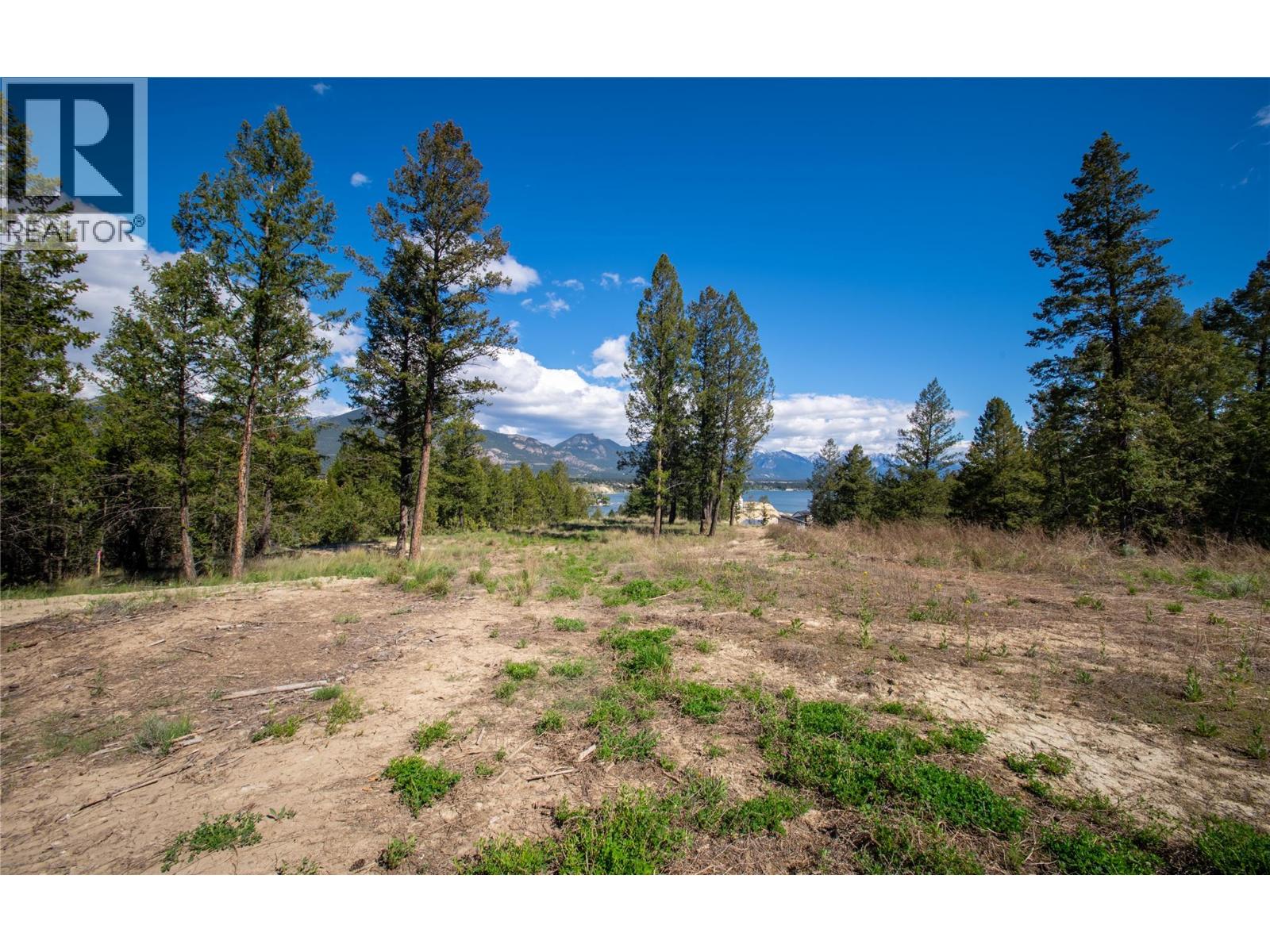 Lot 4 Kpokl Road, Invermere, British Columbia  V0A 1K0 - Photo 7 - 10388575