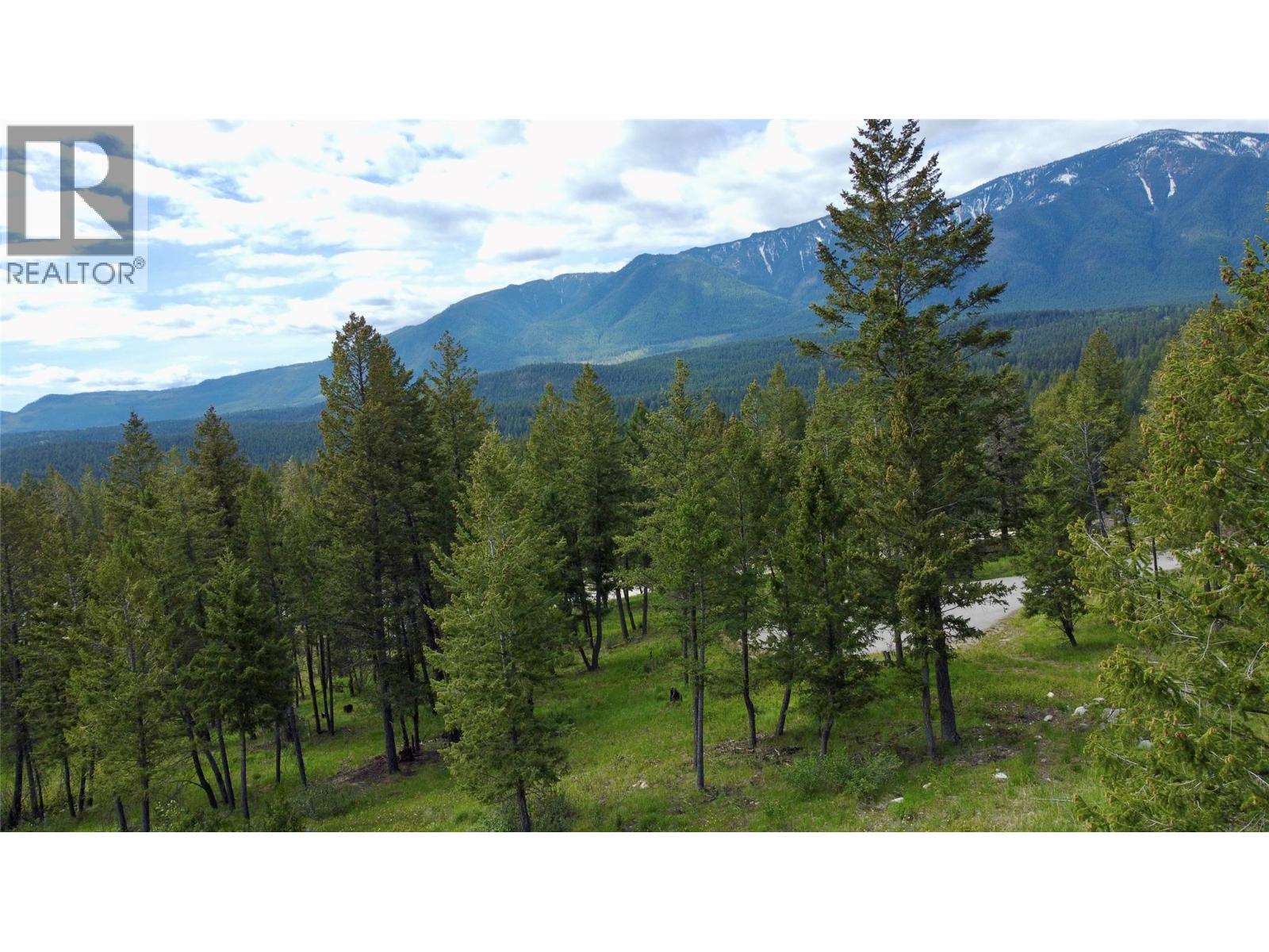 2627 Taynton Trail, Invermere, British Columbia  V0A 1K4 - Photo 16 - 10388505