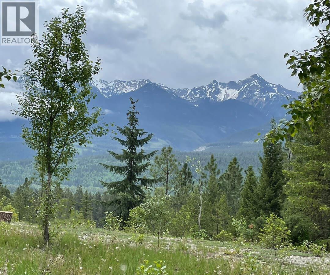 542 Day Road, Golden, British Columbia  V0A 1H0 - Photo 2 - 10388709