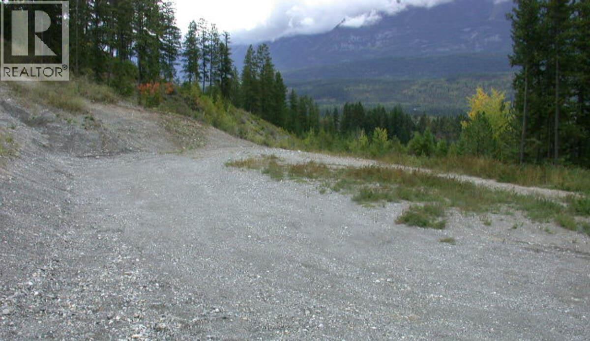 542 Day Road, Golden, British Columbia  V0A 1H0 - Photo 6 - 10388709