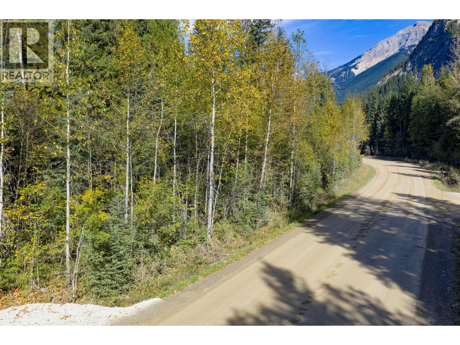 2237 Blaeberry Road, Golden, British Columbia  V0A 1H1 - Photo 28 - 10389813