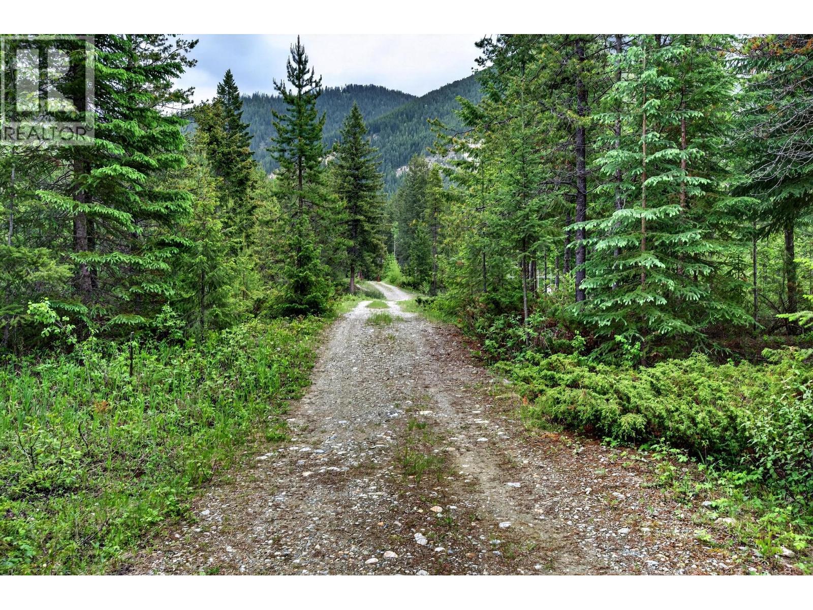 2333 Hedges Road, Golden, British Columbia  V0A 1H1 - Photo 41 - 10389825