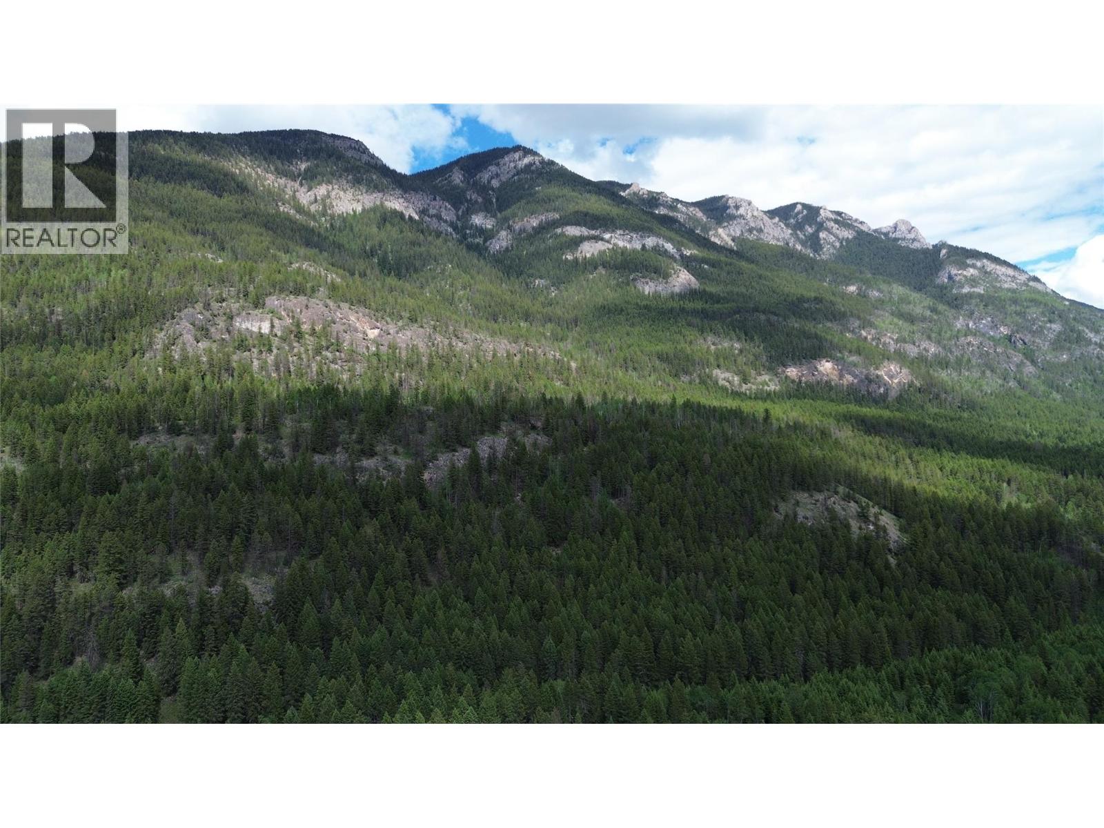 2660 95 Highway, Brisco, British Columbia  V0A 1B0 - Photo 51 - 10390601