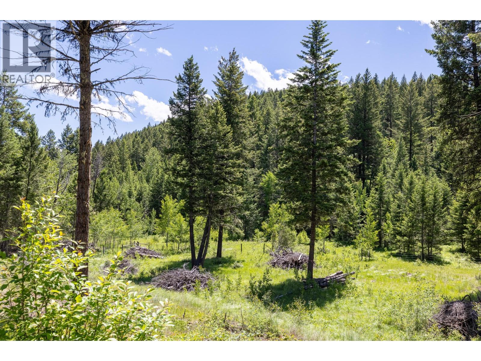 Toby Creek Road Lot# 4, Invermere, British Columbia  V0A 1K5 - Photo 6 - 10390778