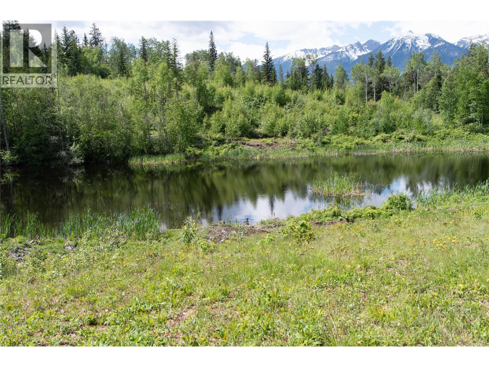 1360 Adolph Johnson Road, Golden, British Columbia  V0A 1H1 - Photo 40 - 10390040
