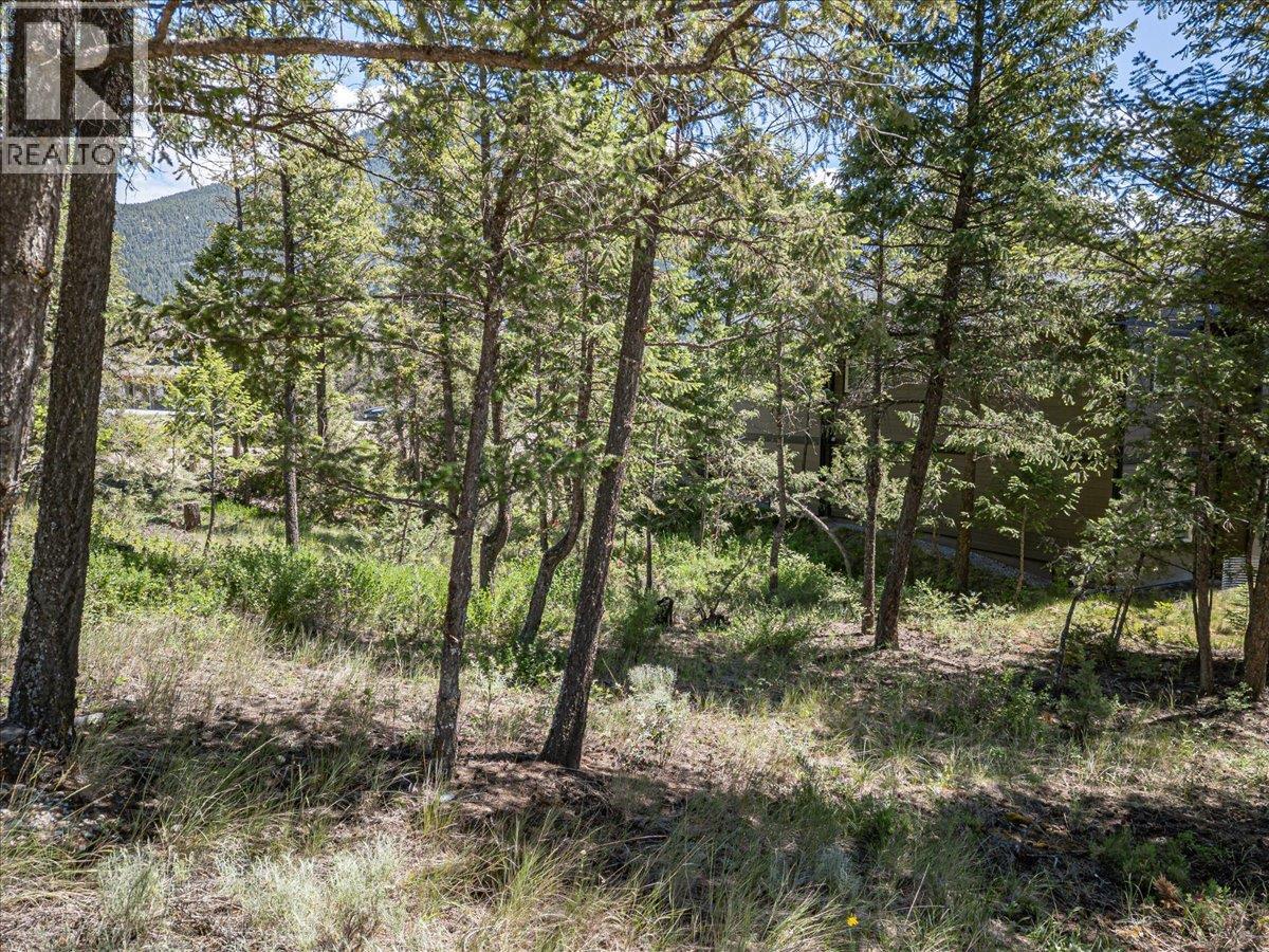Copper Point Way Lot# 59, Windermere, British Columbia  V0A 1K3 - Photo 14 - 10391750