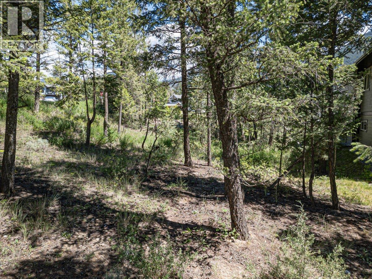 Copper Point Way Lot# 59, Windermere, British Columbia  V0A 1K3 - Photo 15 - 10391750