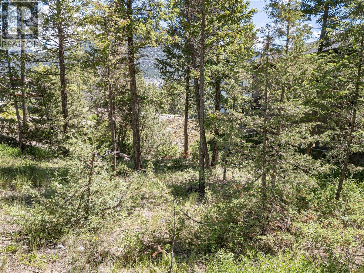 Copper Point Way Lot# 59, Windermere, British Columbia  V0A 1K3 - Photo 16 - 10391750