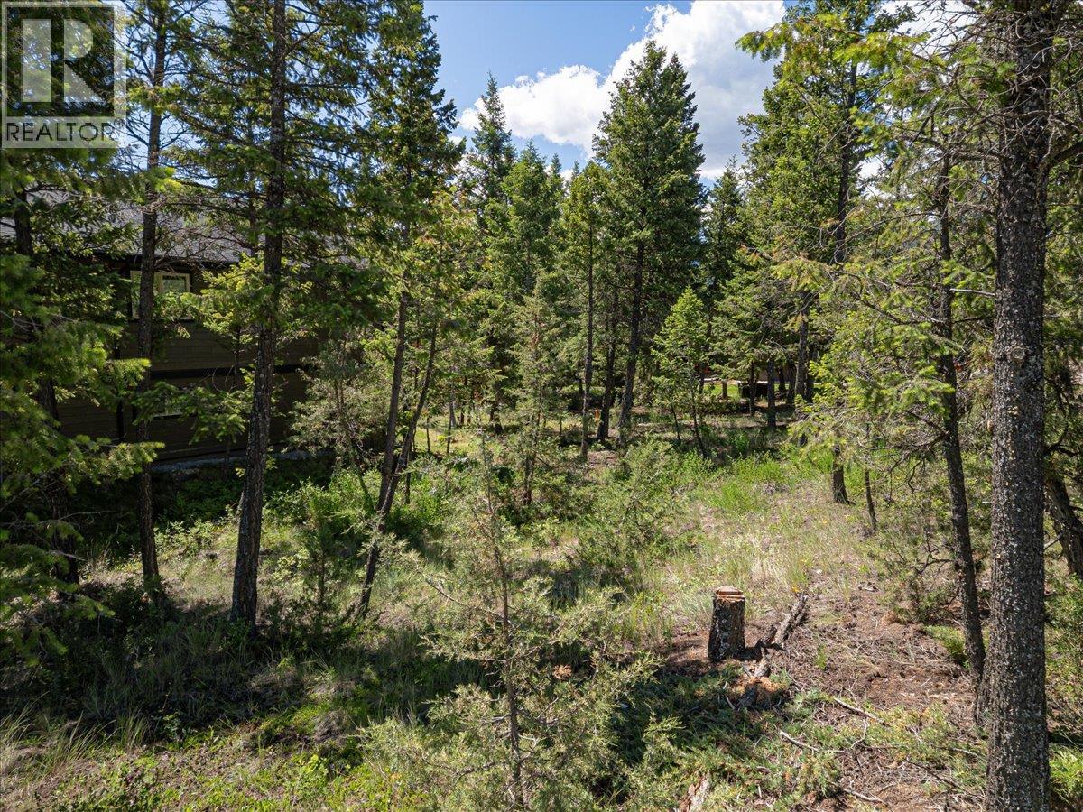Copper Point Way Lot# 59, Windermere, British Columbia  V0A 1K3 - Photo 18 - 10391750