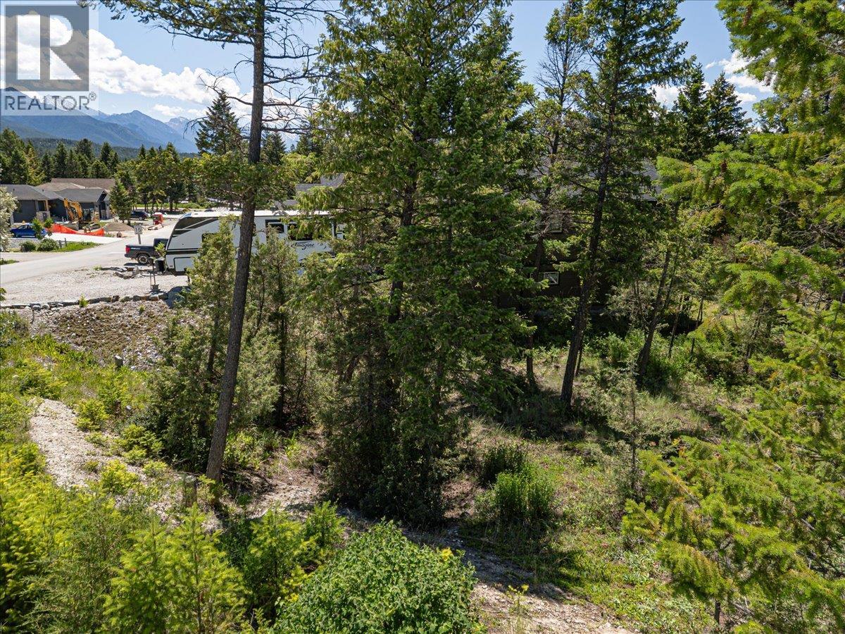 Copper Point Way Lot# 59, Windermere, British Columbia  V0A 1K3 - Photo 19 - 10391750