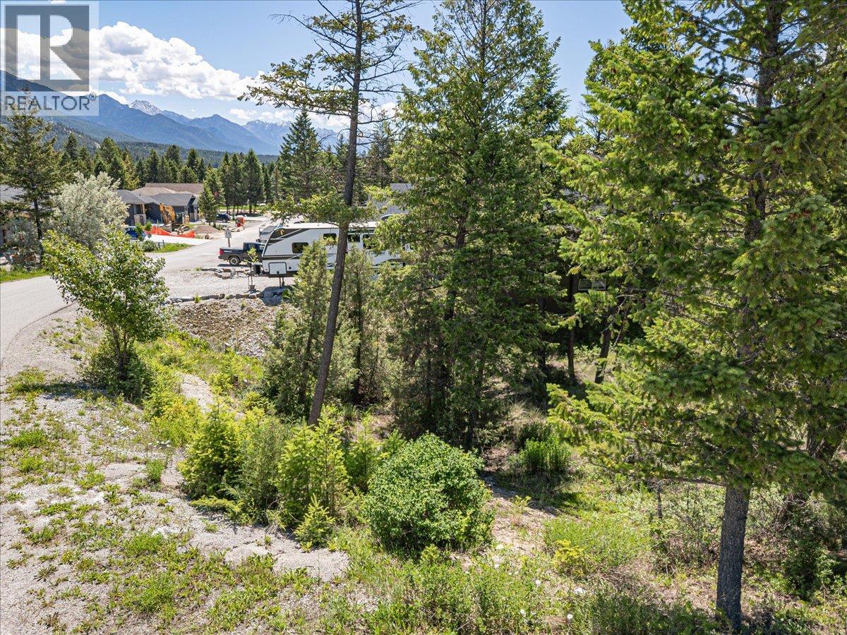 Copper Point Way Lot# 59, Windermere, British Columbia  V0A 1K3 - Photo 20 - 10391750