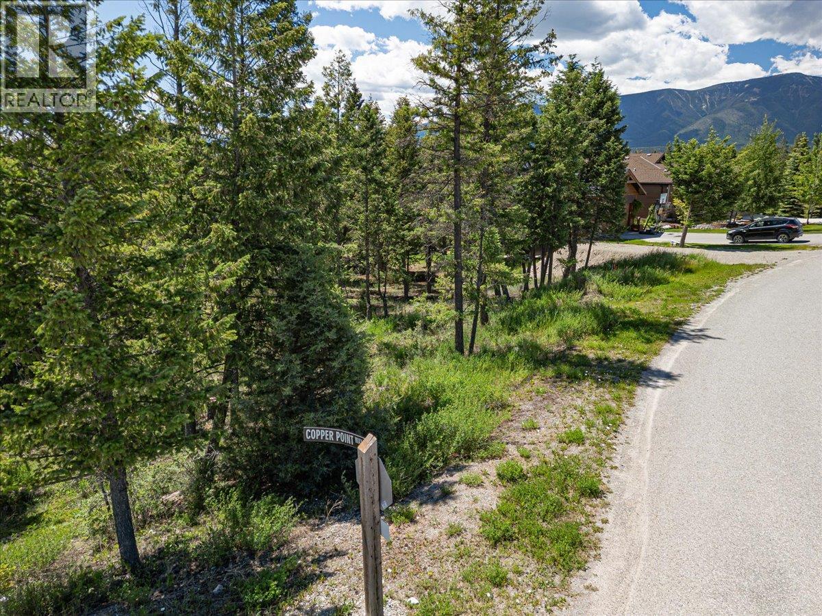 Copper Point Way Lot# 59, Windermere, British Columbia  V0A 1K3 - Photo 21 - 10391750