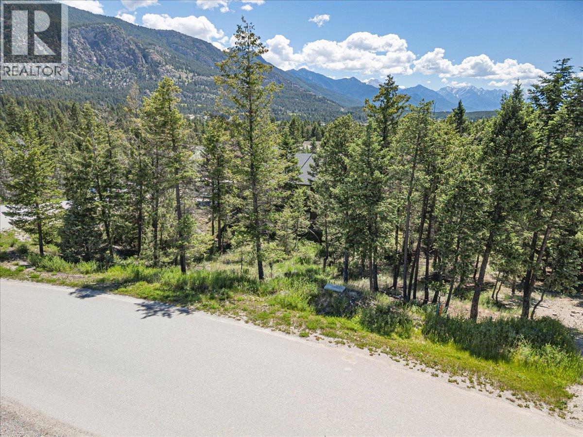Copper Point Way Lot# 59, Windermere, British Columbia  V0A 1K3 - Photo 6 - 10391750