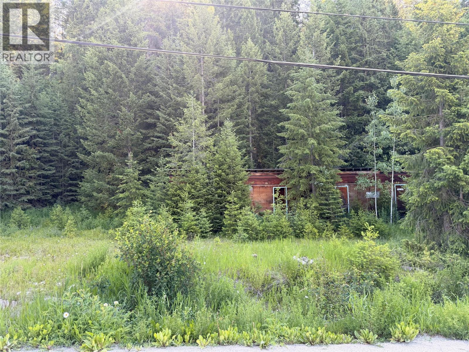 618 Golden Donald Upper Road, Golden, British Columbia  V0A 1H1 - Photo 5 - 10391921
