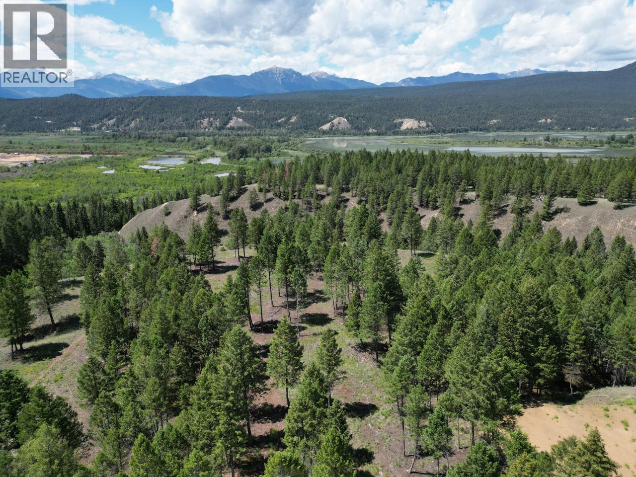 Lot 16 Saddlewood Lane, Radium Hot Springs, British Columbia  V0A 1M0 - Photo 2 - 10392886
