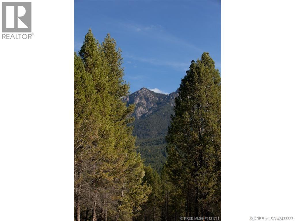 Lot 11 Saddlewood Lane, Radium Hot Springs, British Columbia  V0A 1M0 - Photo 12 - 10392882
