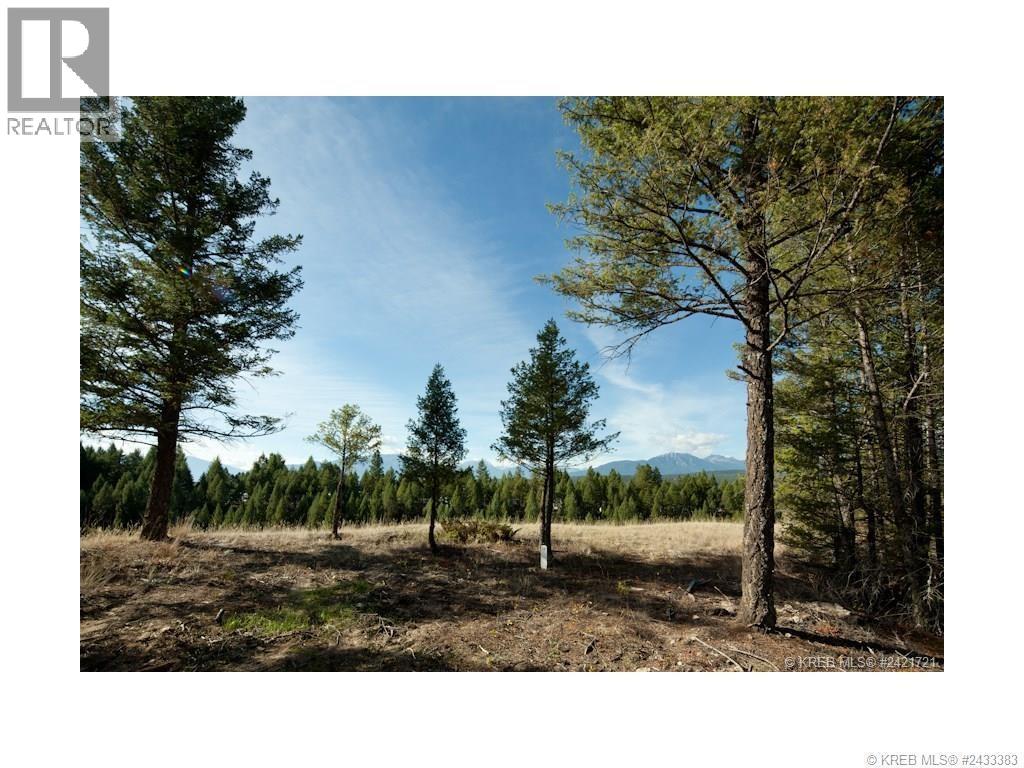 Lot 11 Saddlewood Lane, Radium Hot Springs, British Columbia  V0A 1M0 - Photo 16 - 10392882