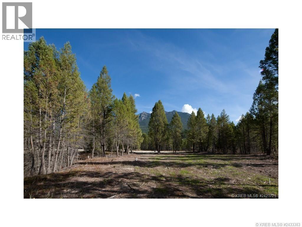 Lot 10 Saddlewood Lane, Radium Hot Springs, British Columbia  V0A 1M0 - Photo 7 - 10392881