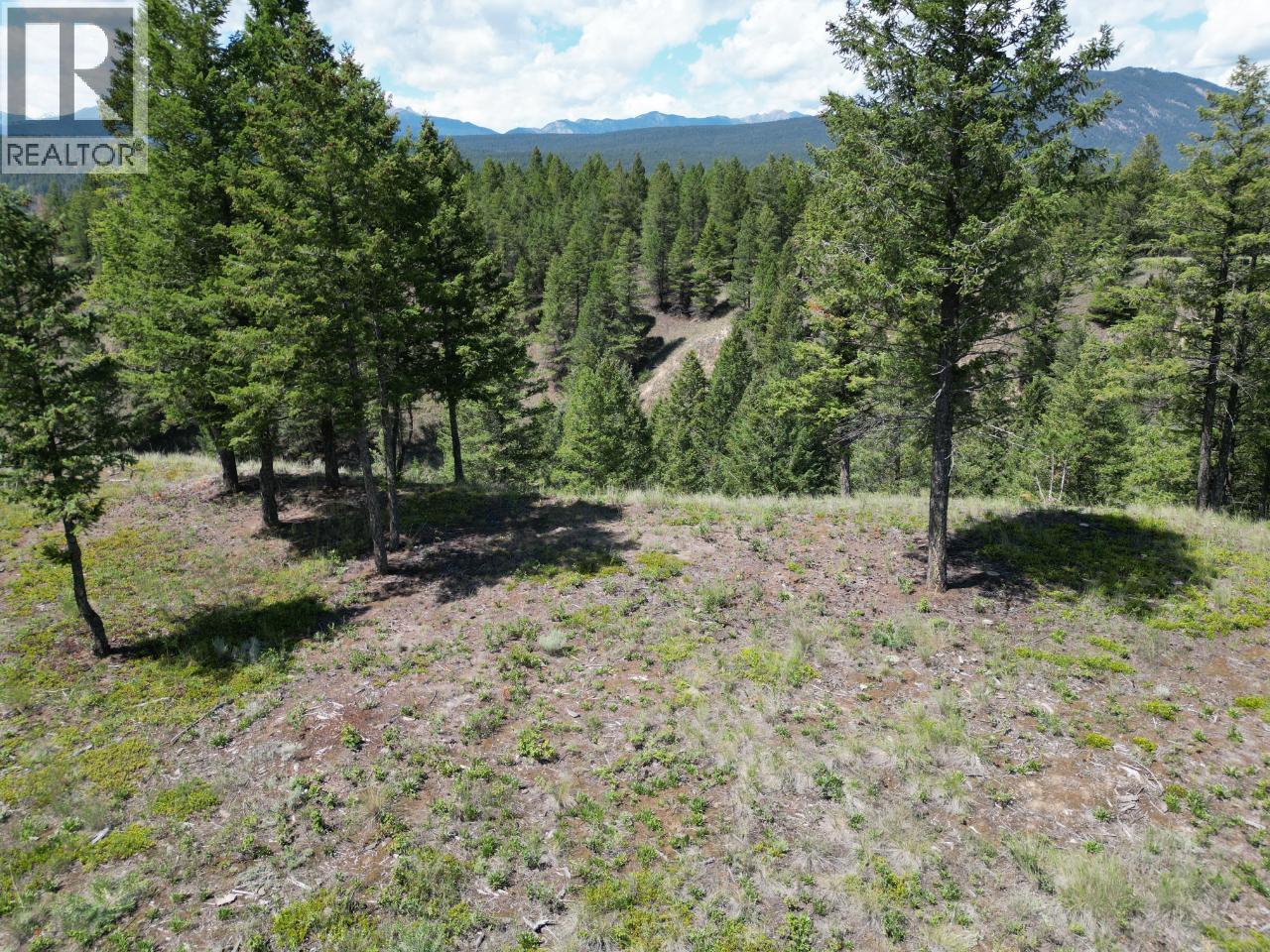 Lot 18 Saddlewood Lane, Radium Hot Springs, British Columbia  V0A 1M0 - Photo 24 - 10392879