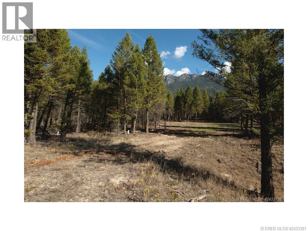 Lot 18 Saddlewood Lane, Radium Hot Springs, British Columbia  V0A 1M0 - Photo 3 - 10392879