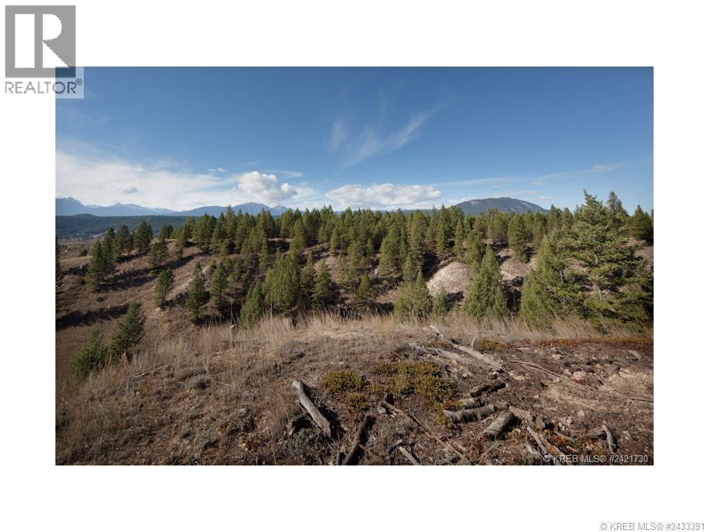 Lot 18 Saddlewood Lane, Radium Hot Springs, British Columbia  V0A 1M0 - Photo 6 - 10392879