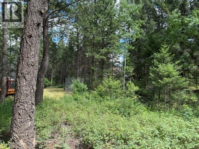 Ridge Way Lot# 114, Windermere, British Columbia