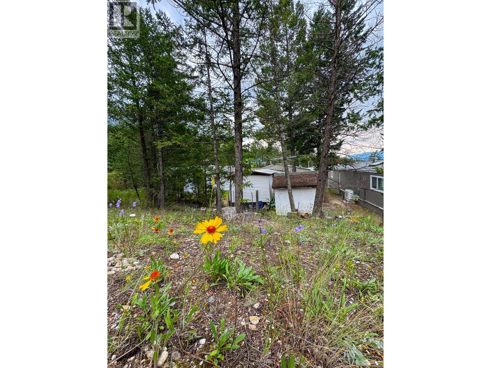 8634 93/95 Highway Unit# 28, Radium Hot Springs, British Columbia  V0A 1M0 - Photo 21 - 10393235