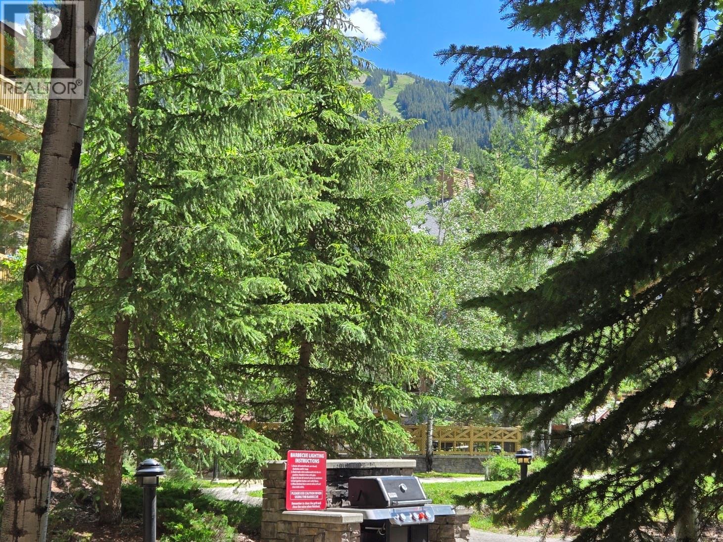 2064 Summit Drive Unit# 109, Panorama, British Columbia  V0A 1T0 - Photo 2 - 10393581