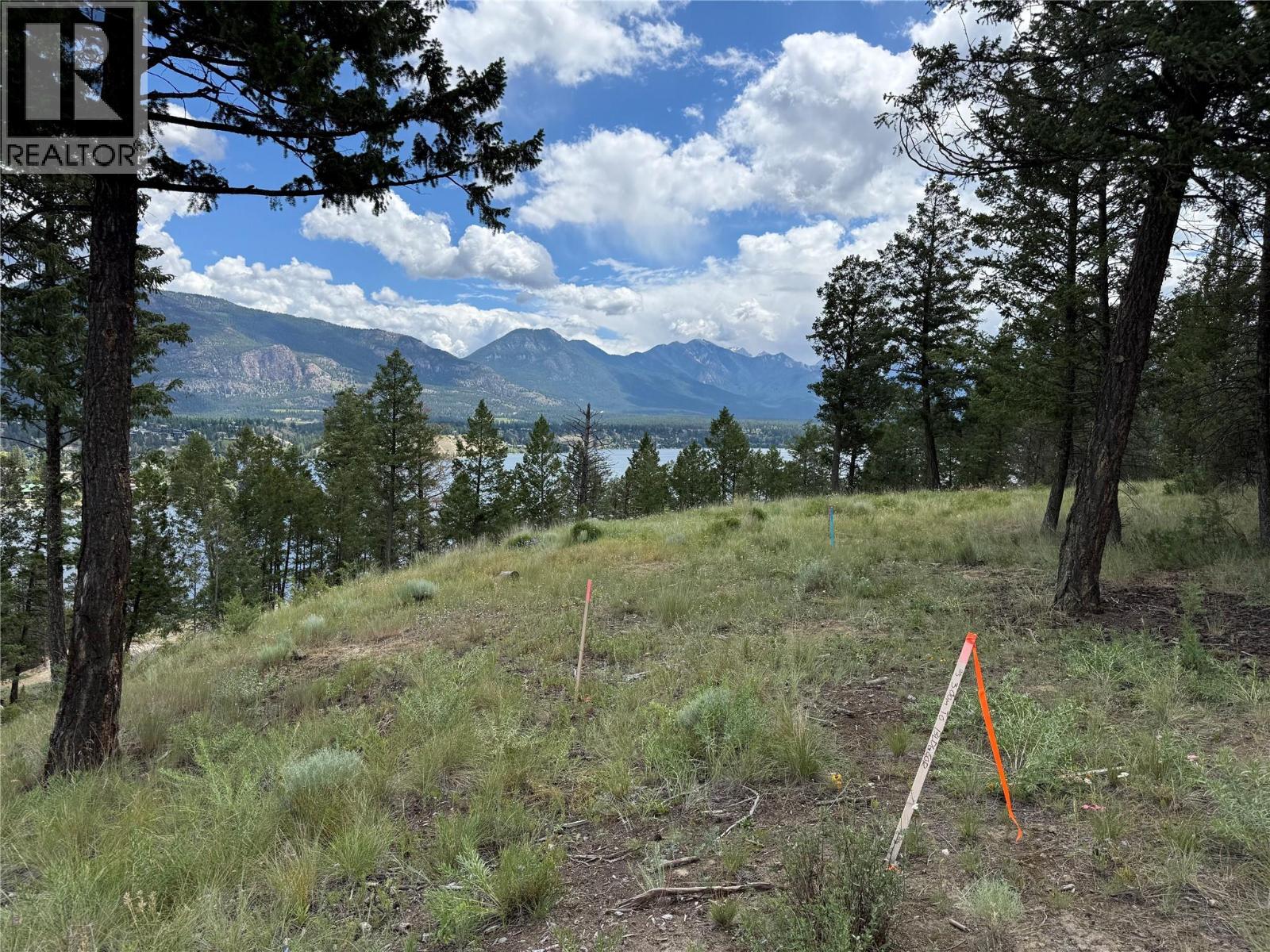 2140 22nd Street, Invermere, British Columbia  V0A 1K4 - Photo 3 - 10393682