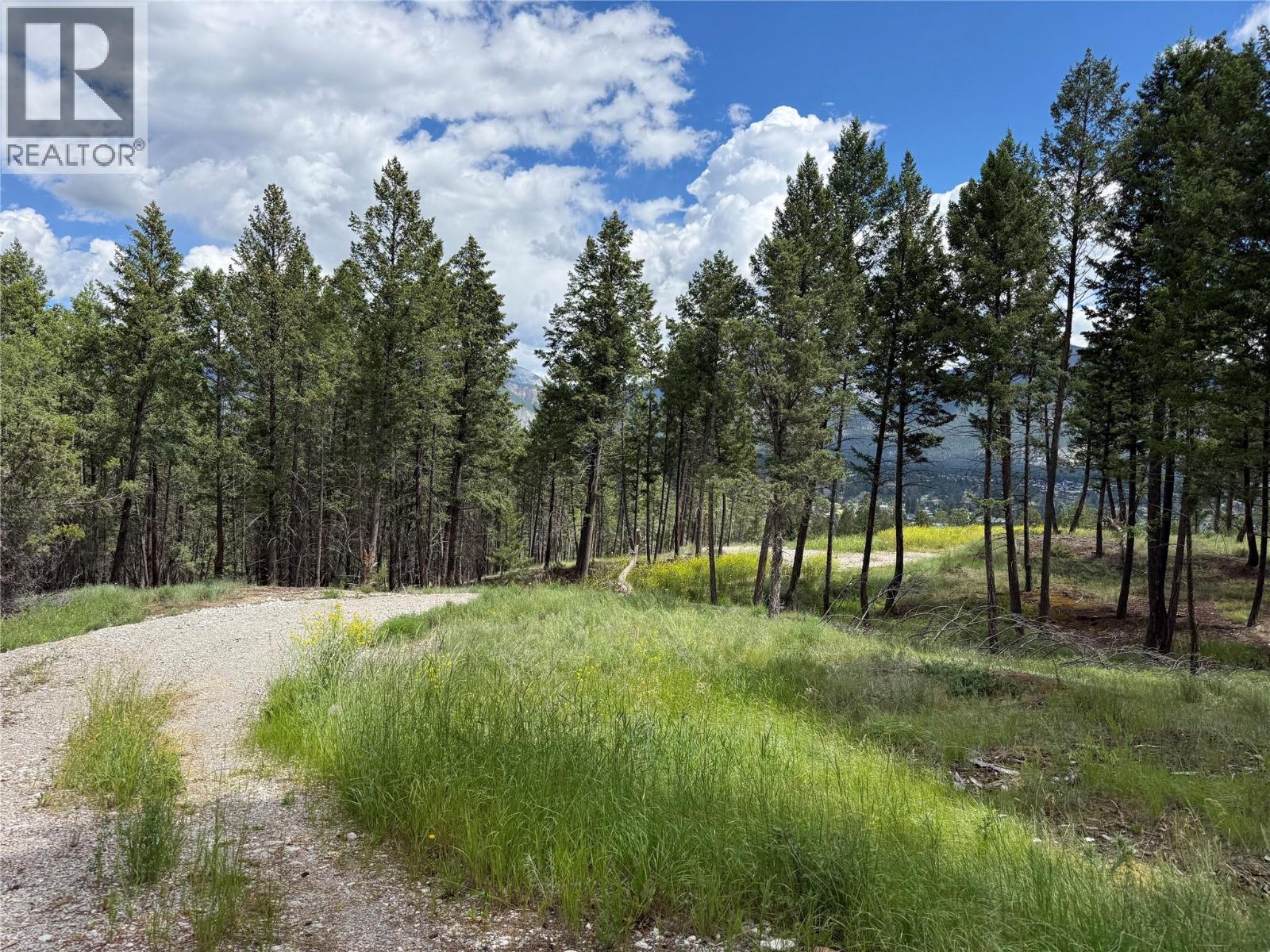 2140 22nd Street, Invermere, British Columbia  V0A 1K4 - Photo 7 - 10393682