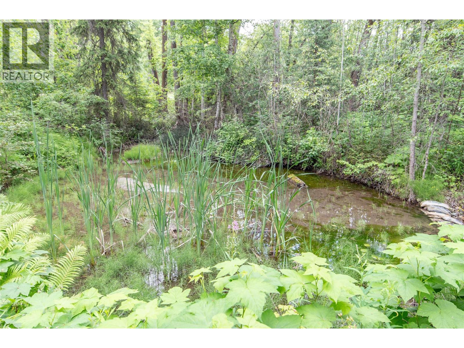 2622 95 Highway S, Golden, British Columbia  V0A 1H4 - Photo 37 - 10393688