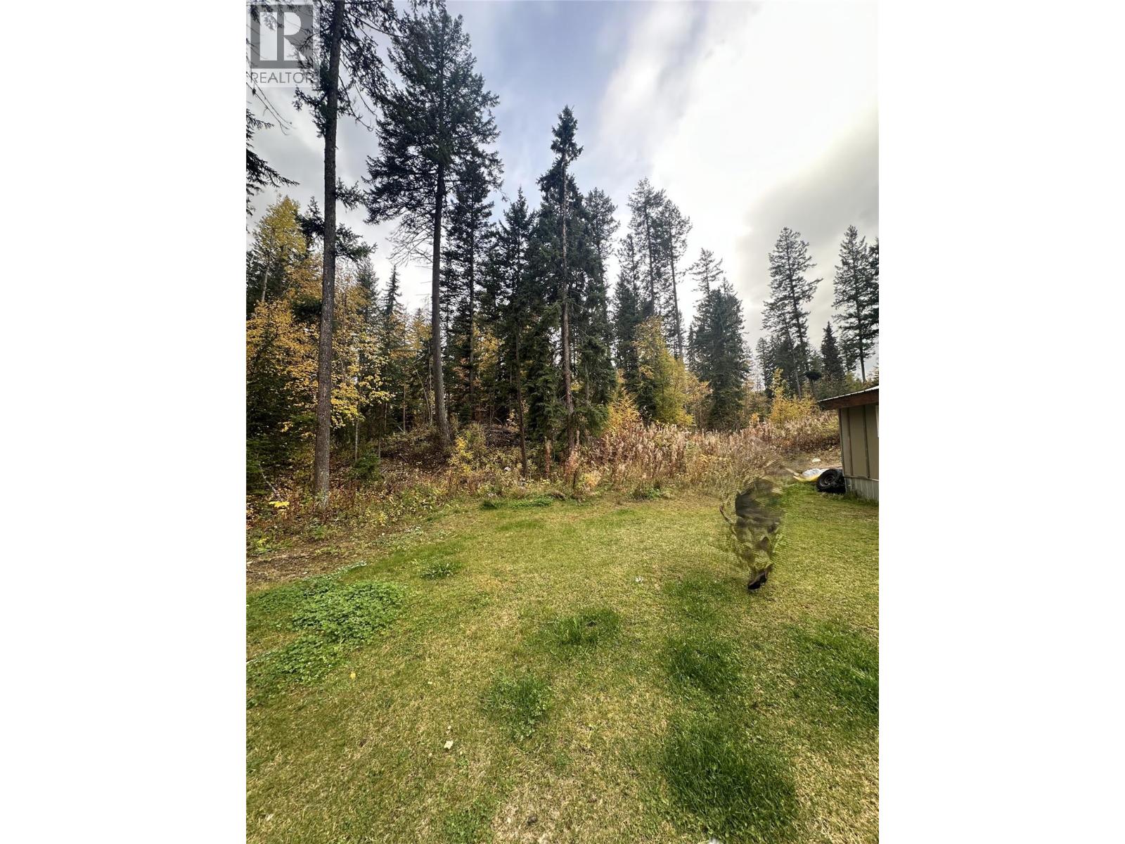 787 Golden Donald Upper Road, Golden, British Columbia  V0A 1H1 - Photo 37 - 10393249